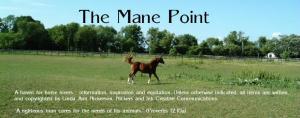 The Mane Point